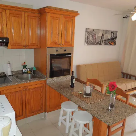 Beachfront-apartment Las Vistas 2 With Sea-view, Heated Pool, Wifi, Sat-tv Arona (Tenerife)